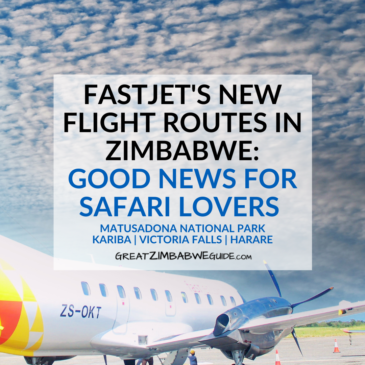 Fastjet’s new flight routes in Zimbabwe: Good news for safari lovers