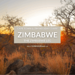 Zimbabwe holiday diary leg itinerary