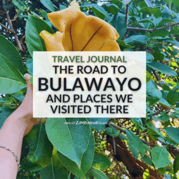 Travel journal: the road to Bulawayo, and places we visited there