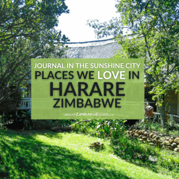 Journal in the sunshine city: Places we love in Harare, Zimbabwe