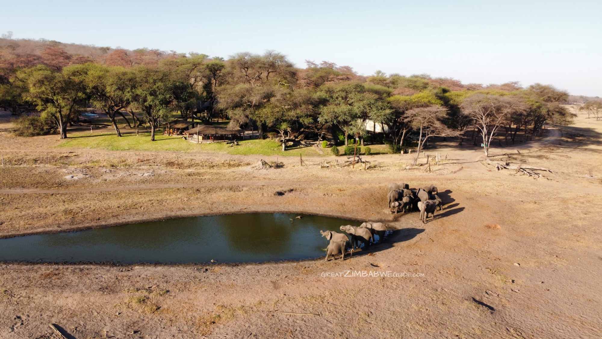 Aerial water hole elephant hwange national park zimbabwe