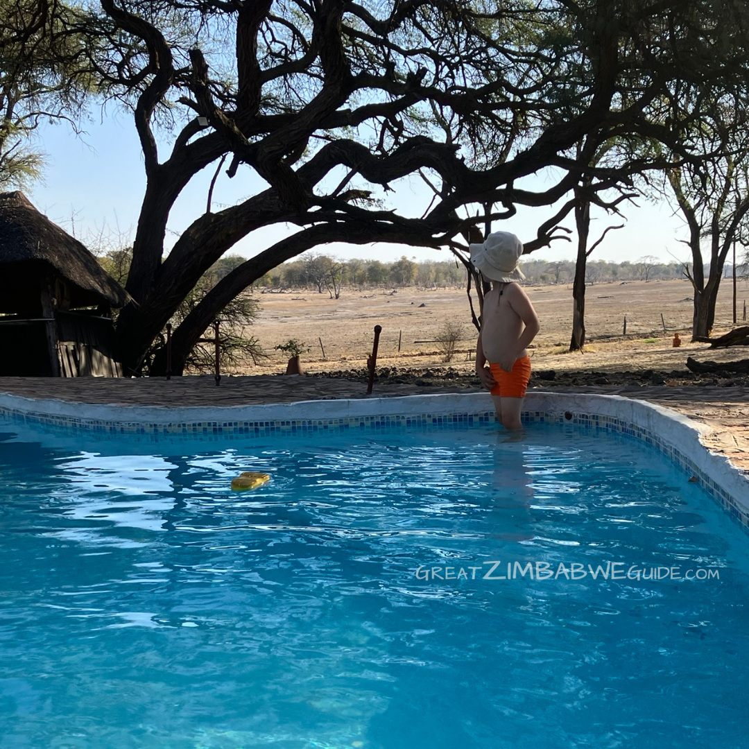Hwange Zimbabwe Swimming Pool Lodge