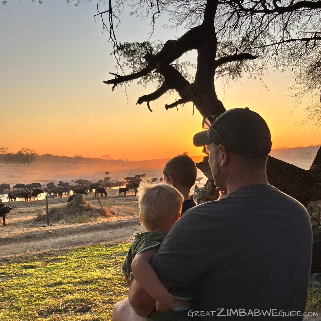 Hwange Zimbabwe cape buffalo kids