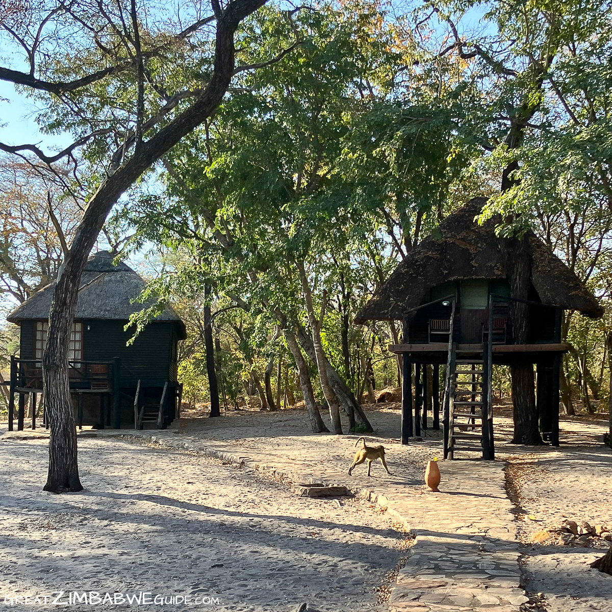 Hwange safari accommodation Zimbabwe