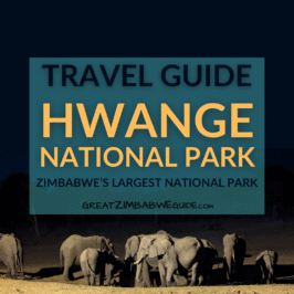 HWANGE NATIONAL PARK ZIMBABWE TRAVEL GUIDE AFRICA