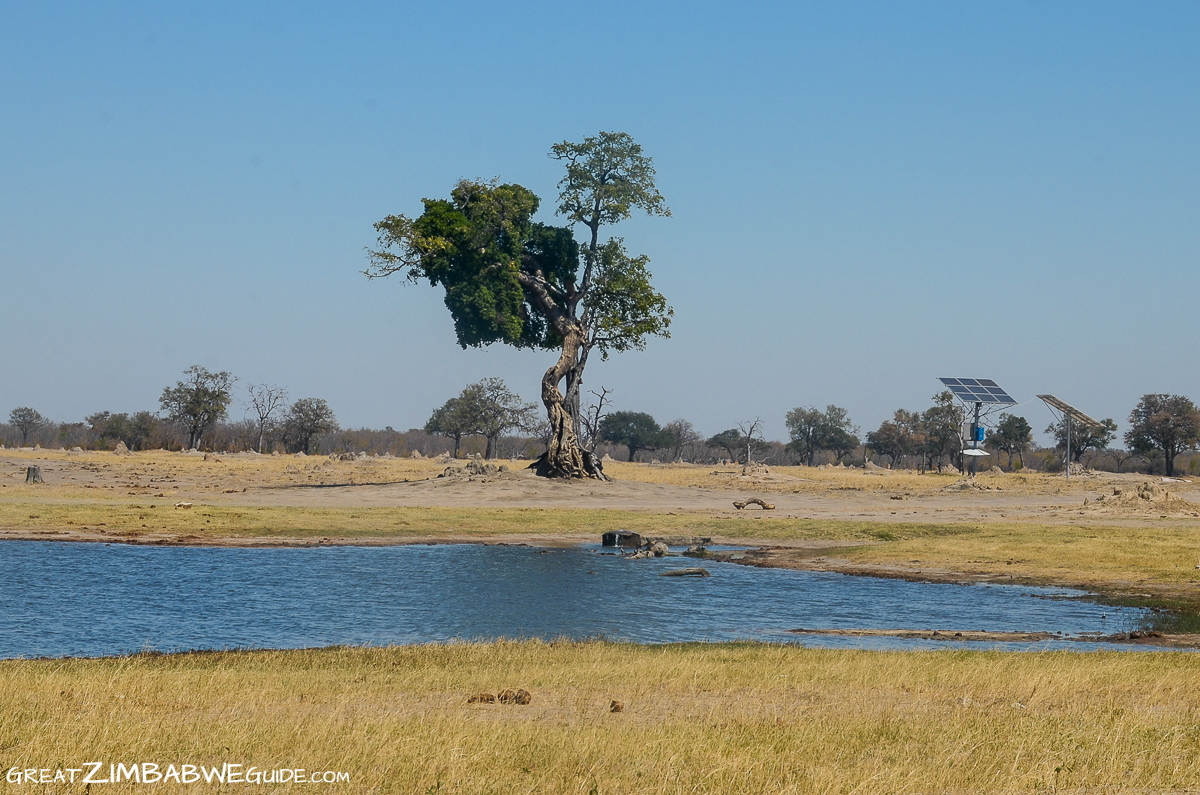 solar panels pump water Hwange National Park Zimbabwe Africa