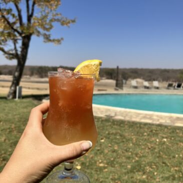 Visiting Hwange Safari Lodge