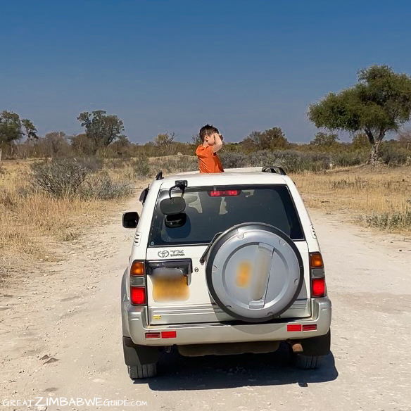 Hwange safari kids self drive