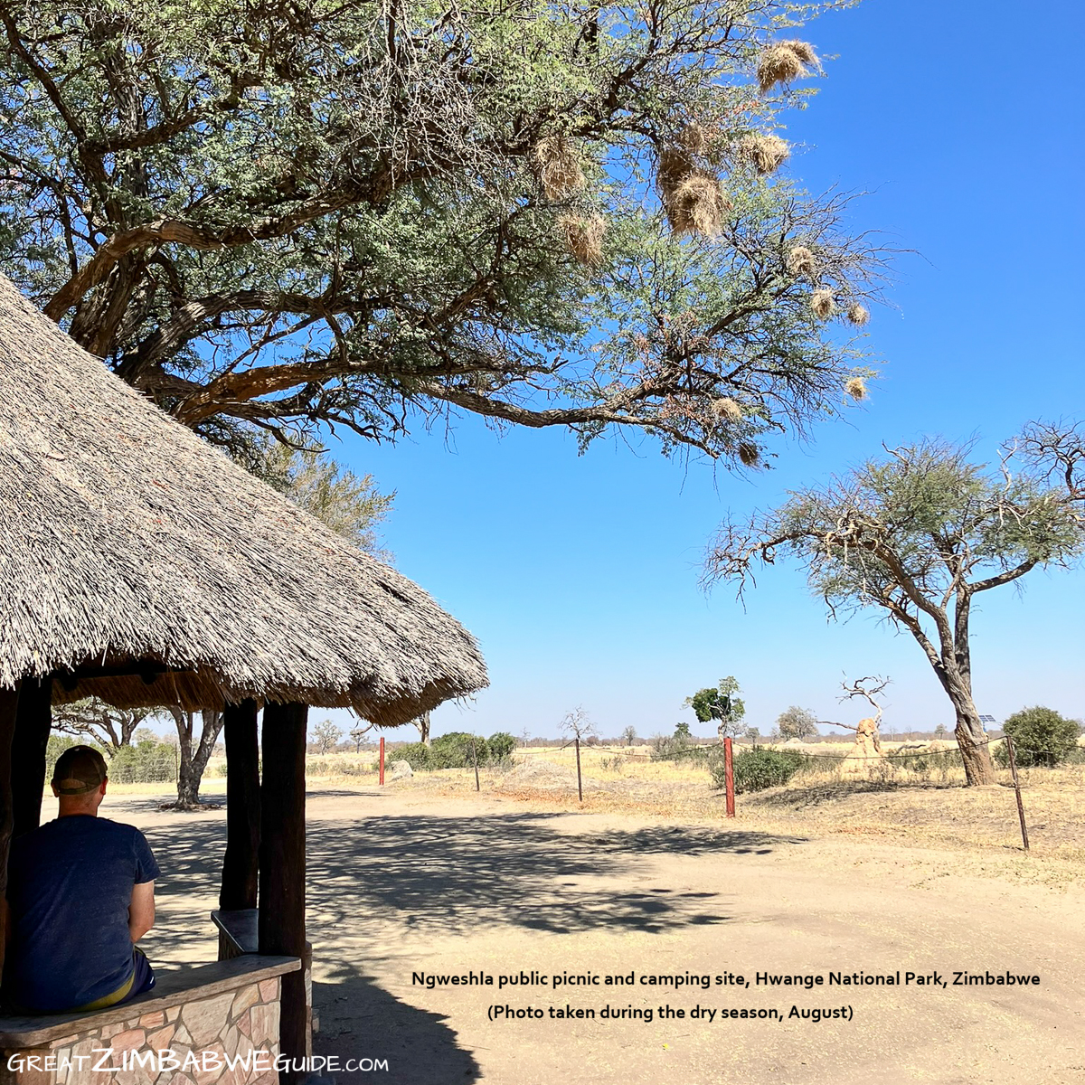 Ngweshla picnic site Hwange National Park Zimbabwe Africa text