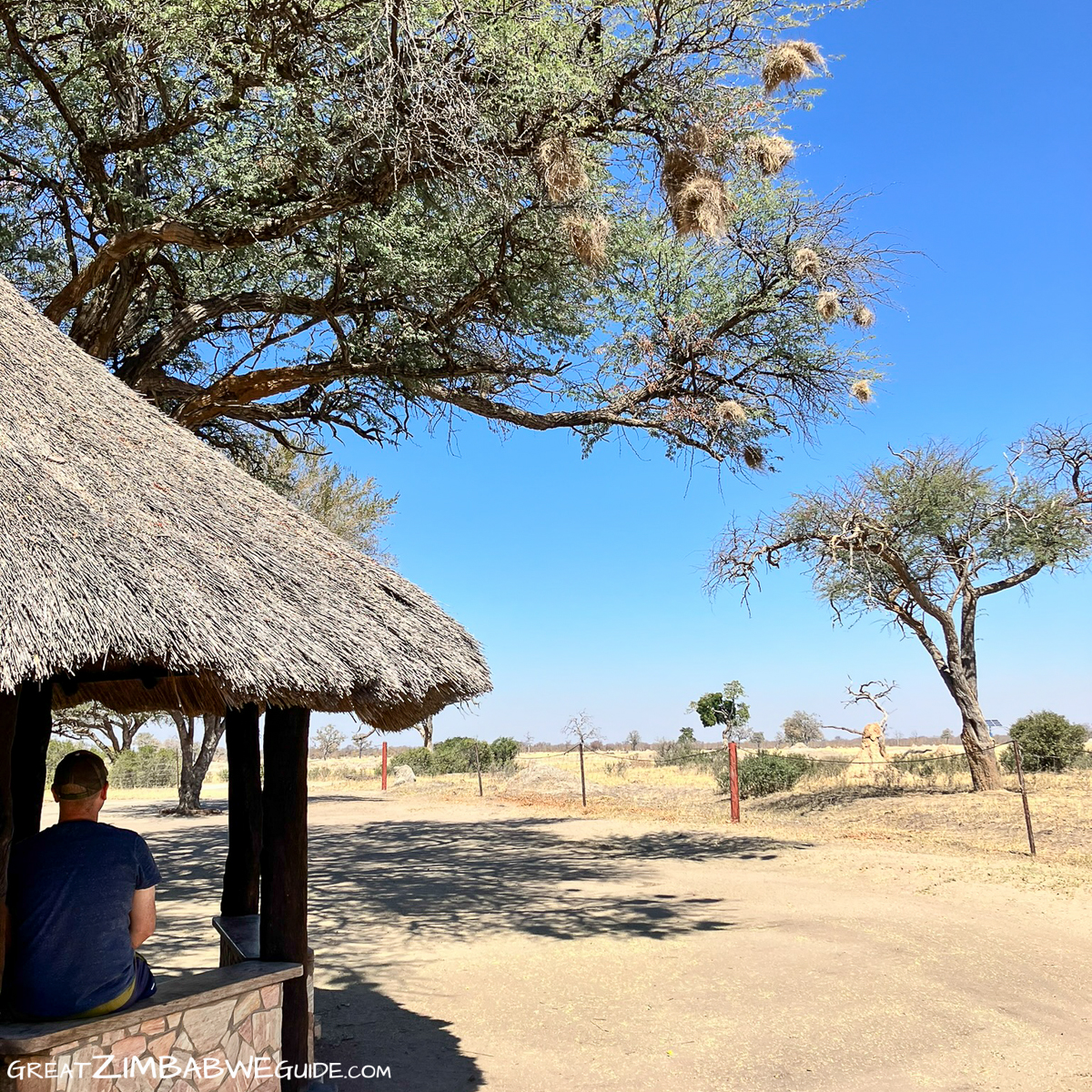 Ngweshla picnic site Hwange National Park Zimbabwe Africa