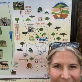 Mukuvisi Woodlands Harare-1