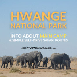 hwange national park main camp self drive routes
