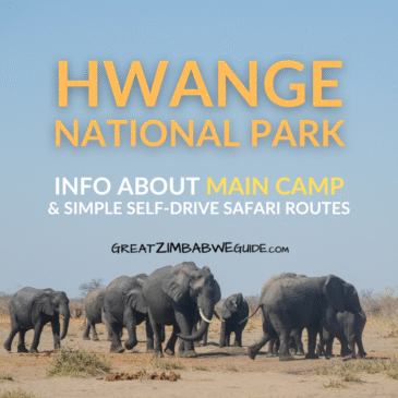 Hwange National Park: Info about Main Camp and simple self-drive safari routes