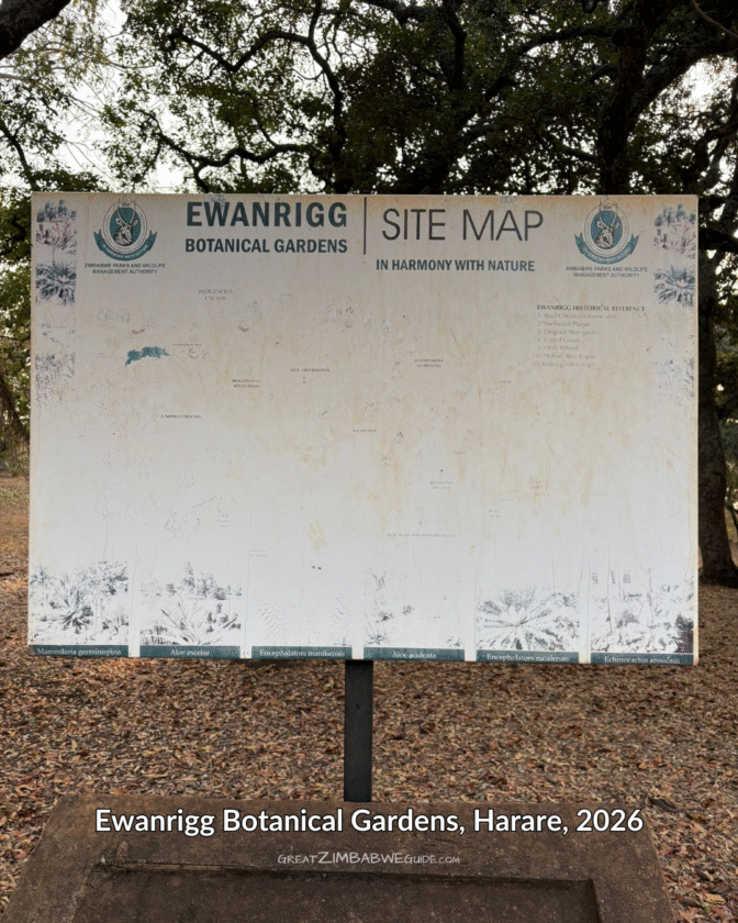 Ewanrigg Botanical gardens Harare Zimbabwe (3)