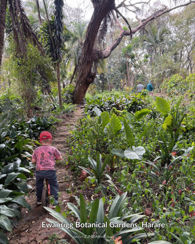 Ewanrigg Botanical gardens Harare Zimbabwe (4)