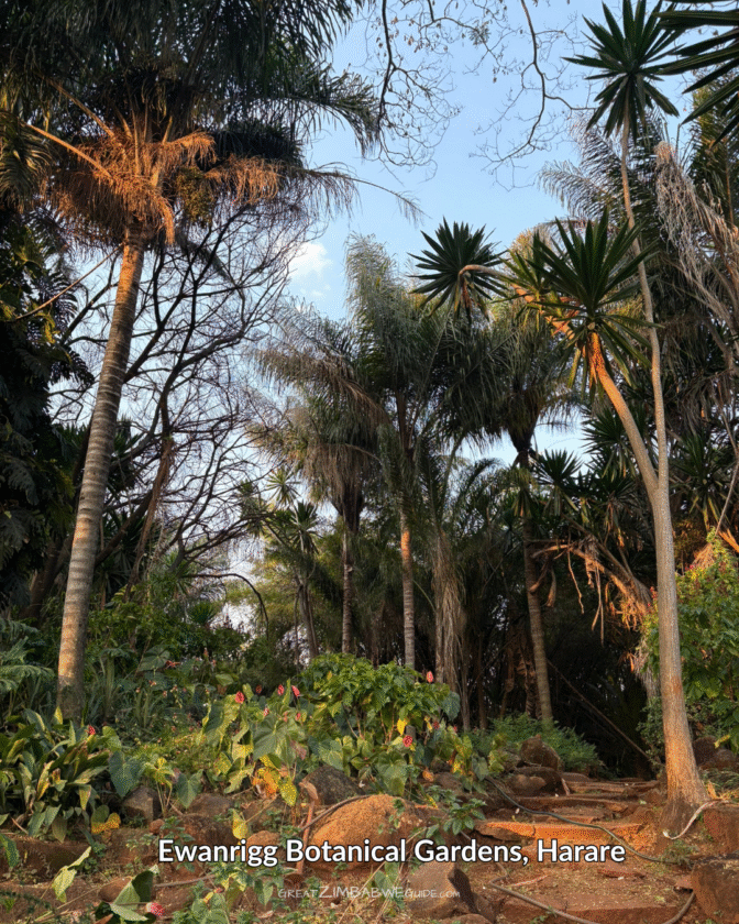 Ewanrigg Botanical gardens Harare Zimbabwe (5)