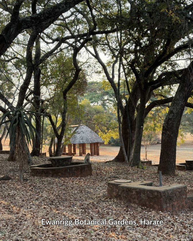 Ewanrigg Botanical gardens Harare Zimbabwe (7)