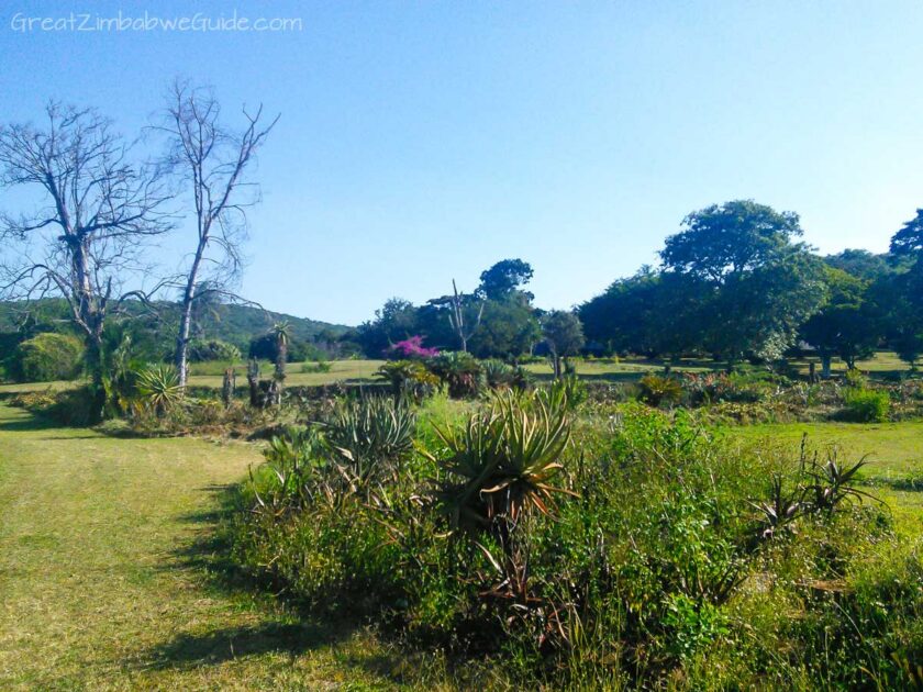 Ewanrigg-Gardens-Harare-Zimbabwe-Aloes-03